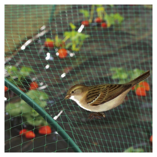 Nos produits horticoles - Protection - Filets pour oiseaux et